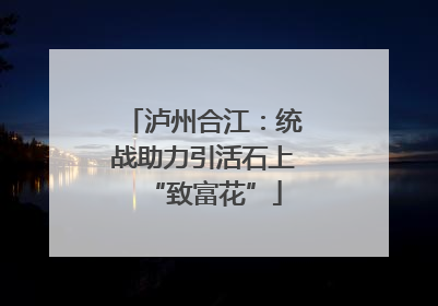 泸州合江：统战助力引活石上“致富花”