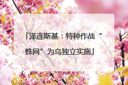 泽连斯基：特种作战“蛛网”为乌独立实施