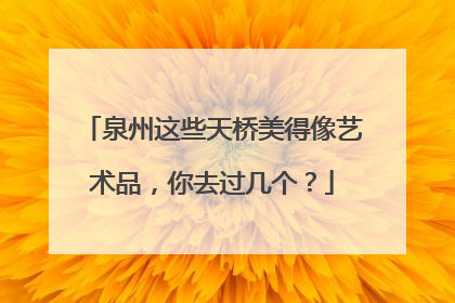 泉州这些天桥美得像艺术品，你去过几个？