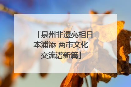 泉州非遗亮相日本浦添 两市文化交流谱新篇