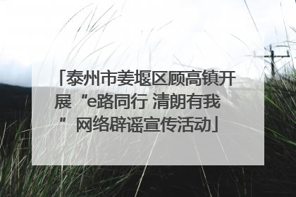 泰州市姜堰区顾高镇开展“e路同行 清朗有我”网络辟谣宣传活动