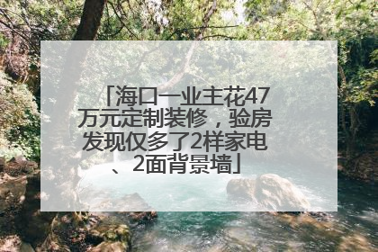 海口一业主花47万元定制装修，验房发现仅多了2样家电、2面背景墙