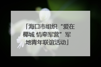 海口市组织“爱在椰城 情牵军营”军地青年联谊活动