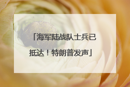 海军陆战队士兵已抵达！特朗普发声