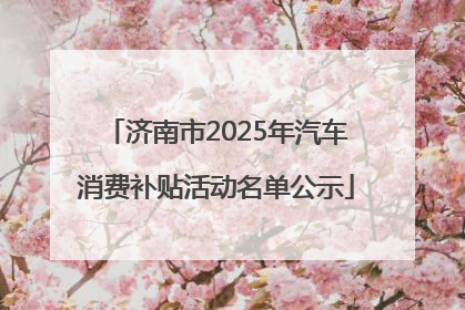 济南市2025年汽车消费补贴活动名单公示