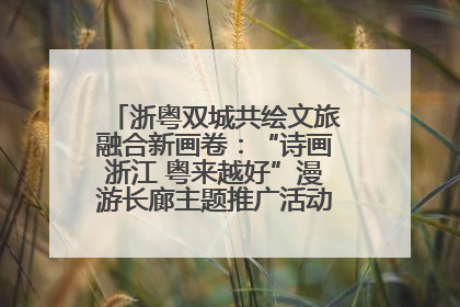 浙粤双城共绘文旅融合新画卷：“诗画浙江 粤来越好”漫游长廊主题推广活动在广州花城汇启幕