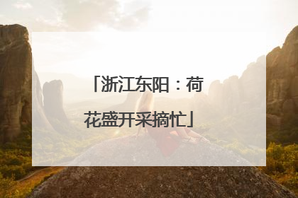 浙江东阳：荷花盛开采摘忙