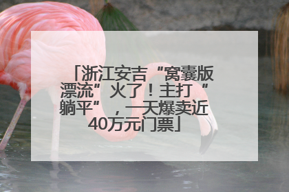 浙江安吉“窝囊版漂流”火了！主打“躺平”，一天爆卖近40万元门票