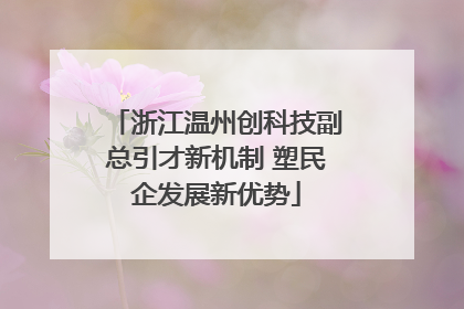 浙江温州创科技副总引才新机制 塑民企发展新优势
