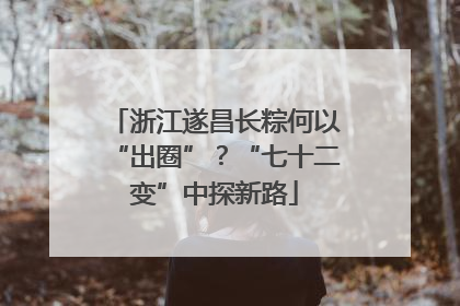 浙江遂昌长粽何以“出圈”？“七十二变”中探新路