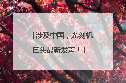 涉及中国，光刻机巨头最新发声！