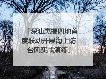 深汕惠揭四地首度联动开展海上防台风实战演练
