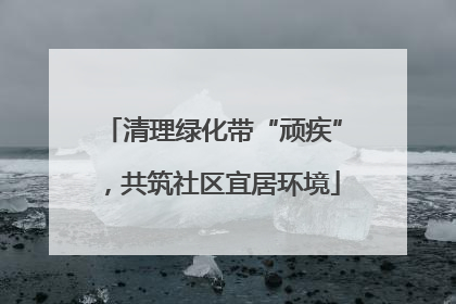 清理绿化带“顽疾”，共筑社区宜居环境