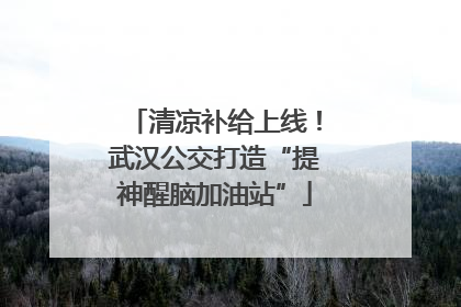 清凉补给上线！武汉公交打造“提神醒脑加油站”