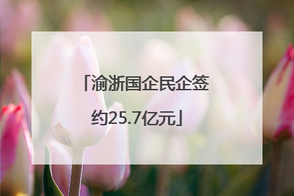 渝浙国企民企签约25.7亿元