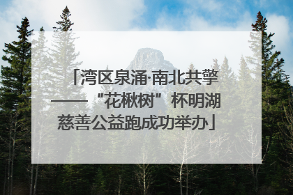 湾区泉涌·南北共擎——“花楸树”杯明湖慈善公益跑成功举办