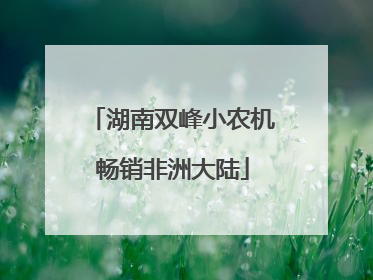 湖南双峰小农机畅销非洲大陆