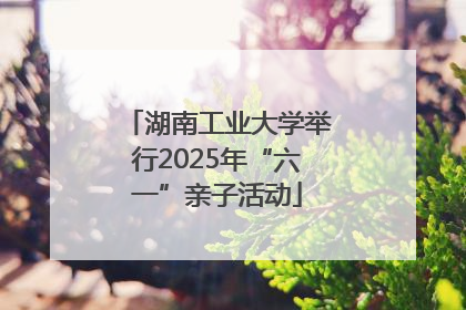 湖南工业大学举行2025年“六一”亲子活动
