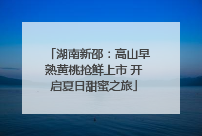 湖南新邵：高山早熟黄桃抢鲜上市 开启夏日甜蜜之旅