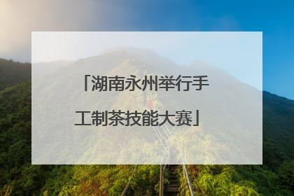 湖南永州举行手工制茶技能大赛