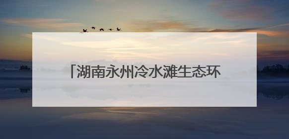 湖南永州冷水滩生态环境保护知识“进校园”