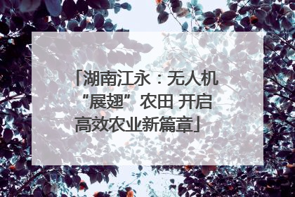 湖南江永：无人机“展翅”农田 开启高效农业新篇章