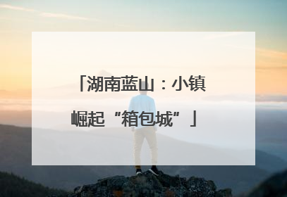 湖南蓝山：小镇崛起“箱包城”