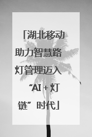 湖北移动助力智慧路灯管理迈入“AI＋灯链”时代