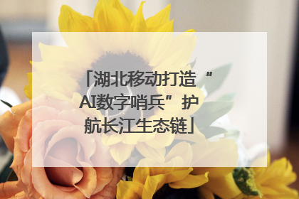 湖北移动打造“AI数字哨兵”护航长江生态链