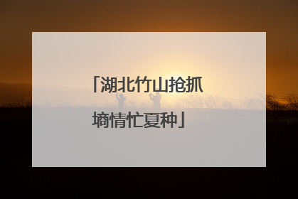 湖北竹山抢抓墒情忙夏种