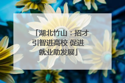 湖北竹山：招才引智进高校 促进就业助发展