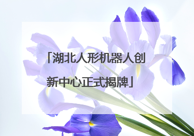 湖北人形机器人创新中心正式揭牌