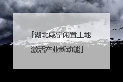 湖北咸宁闲置土地激活产业新动能