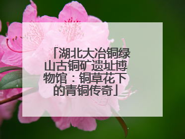 湖北大冶铜绿山古铜矿遗址博物馆：铜草花下的青铜传奇