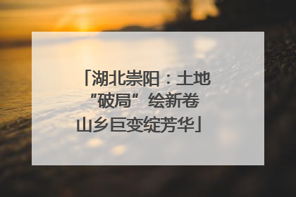 湖北崇阳：土地“破局”绘新卷 山乡巨变绽芳华