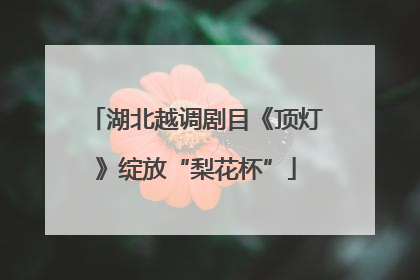 湖北越调剧目《顶灯》绽放“梨花杯”