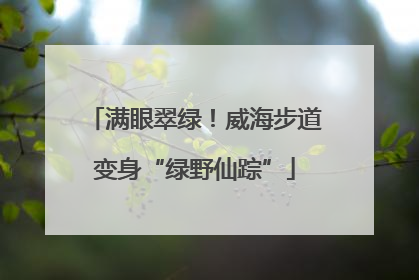 满眼翠绿！威海步道变身“绿野仙踪”
