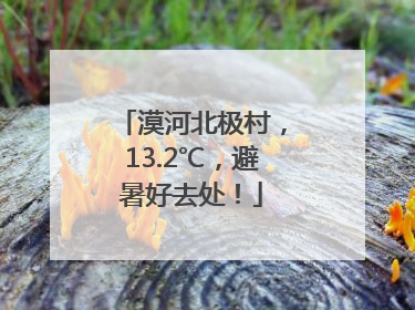 漠河北极村，13.2℃，避暑好去处！