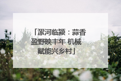 漯河临颍：蒜香盈野映丰年 机械赋能兴乡村