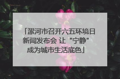 漯河市召开六五环境日新闻发布会 让“宁静”成为城市生活底色