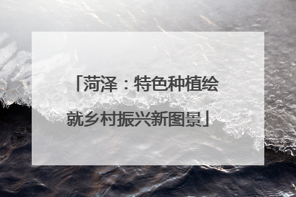 菏泽：特色种植绘就乡村振兴新图景