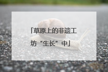 草原上的非遗工坊“生长”中