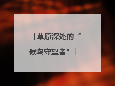 草原深处的“候鸟守望者”