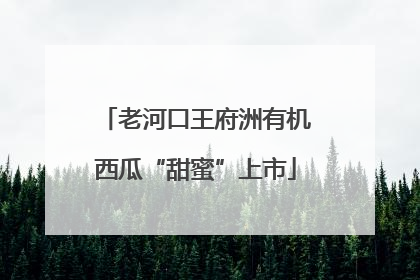 老河口王府洲有机西瓜“甜蜜”上市
