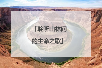 聆听山林间的生命之歌