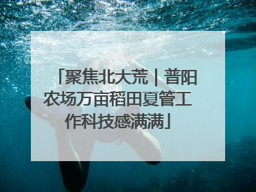 聚焦北大荒｜普阳农场万亩稻田夏管工作科技感满满
