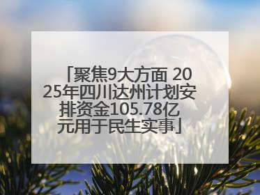聚焦9大方面 2025年四川达州计划安排资金105.78亿元用于民生实事
