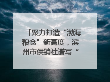 聚力打造“渤海粮仓”新高度，滨州市供销社谱写“三夏”丰收乐章