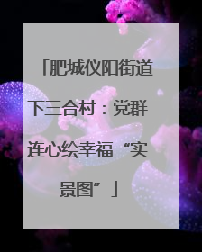 肥城仪阳街道下三合村：党群连心绘幸福“实景图”
