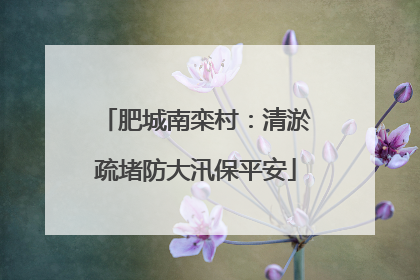 肥城南栾村：清淤疏堵防大汛保平安